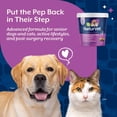thumbnail image 5 of NaturVet Advanced Joint Care Hip & Joint Supplement for Dogs and Cats, Bacon and Chicken Flavor, 70 Count, 5 of 9