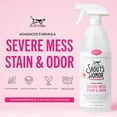thumbnail image 2 of Cat Severe Mess Stain & Odor Remover - Advanced Formula for Tackling the Worst Cat Messes, Eco-Friendly Formula for Carpets and Home, 35 oz, 2 of 4