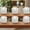 White, variant on 6/9/12 Pack Flameless Battery Candles with Remote & Auto Timer, Realistic Flame Effect for Christmas, Wedding, Bathroom Decor (White/Warm White)