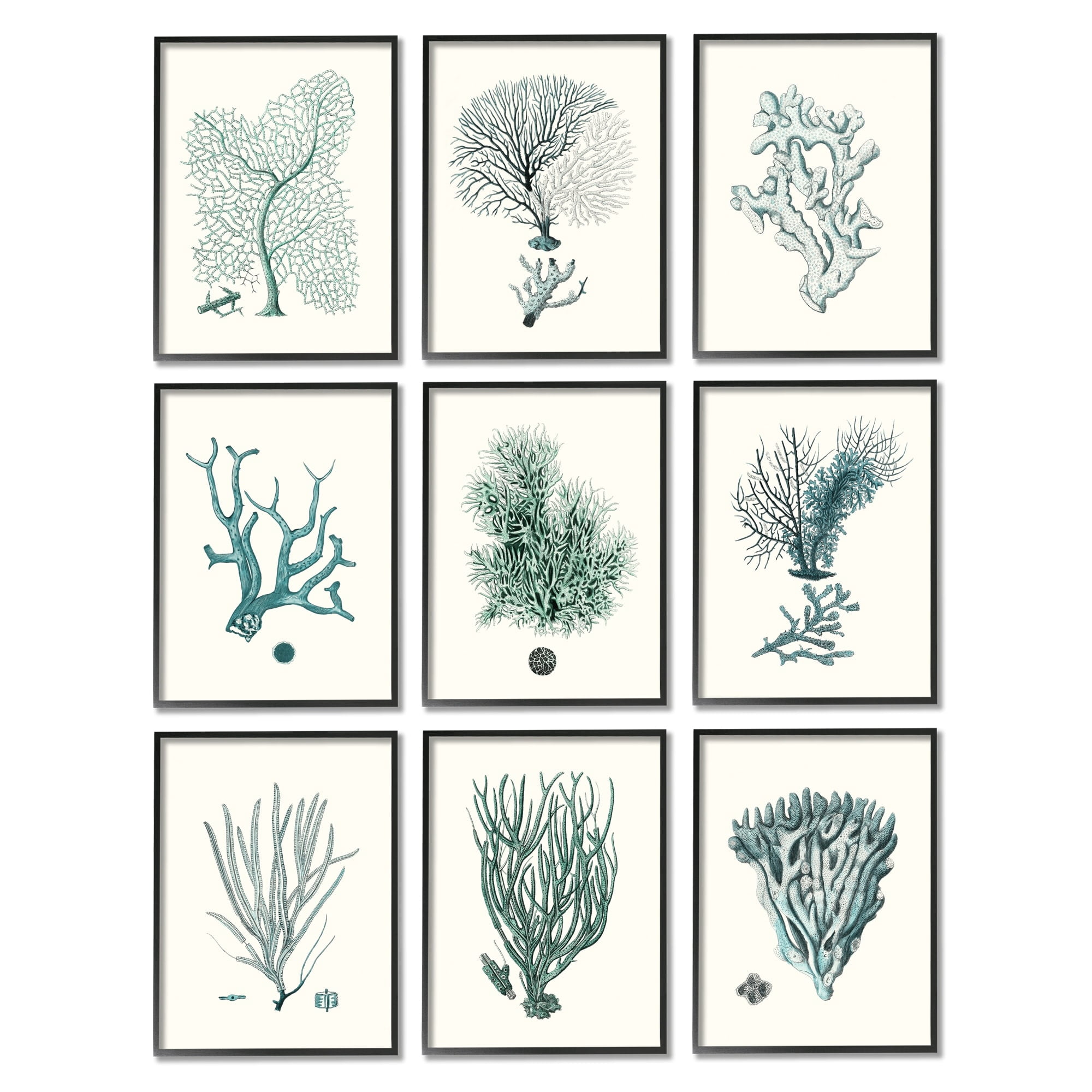Stupell Industries Deep Sea Coral Arrangement Blue Ocean Plant Life Framed Wall Art, 11 x 14, Design by Johann Esper