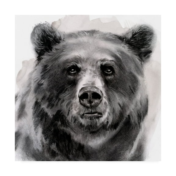 Trademark Fine Art Animals Canvas Art ' Bear Grin II ' by Jennifer Paxton Parker