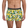 thumbnail image 1 of Fotbe Lemon1 Calzoncillos Tipo Boxer con Bolsa de Soporte Total para Hombre, X-Temp Fresco, Transpirable y de Secado Rápido-Large, 1 of 5