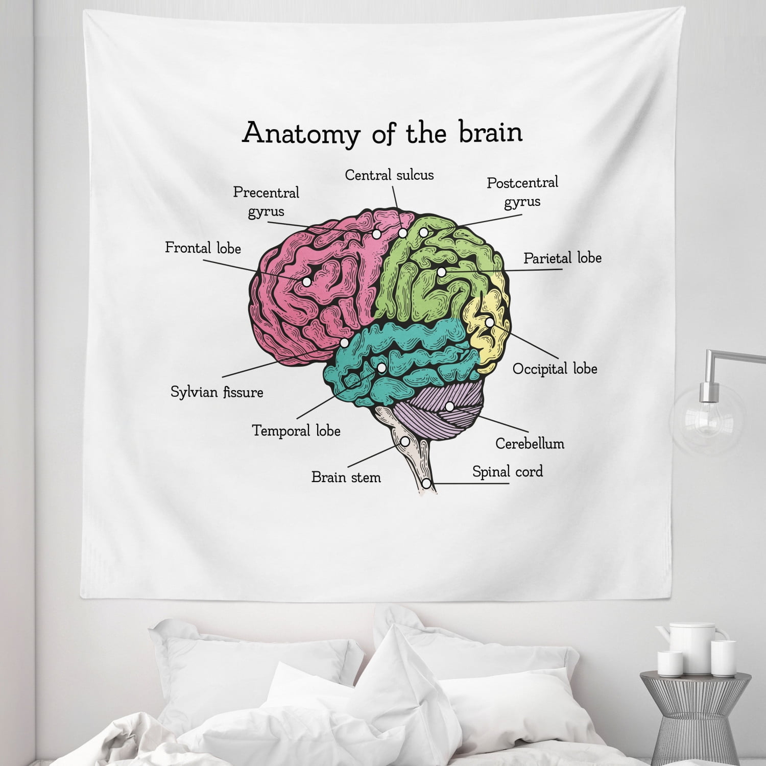 Anatomy Tapestry, Brain Structure Biology Themed Scheme Look on Plain