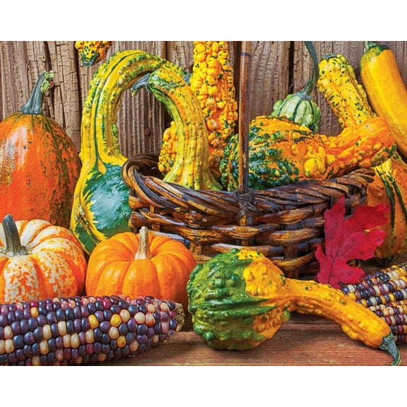 Springbok 1000 Piece Harvest Colors Jigsaw Puzzle for Adults  - Made in USA