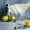Lemon Drop Martini Cocktails, variant on Elephant Stock Tequila Shots Wall Art - Horizontal Canvas Wall Art - Living Room Wall Decor - Food And Drink Canvas - Black And Yellow Decor - 48" x 32"