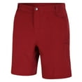 thumbnail image 3 of Dare 2B Mens Tuned In II Multi Pocket Walking Shorts, 3 of 4