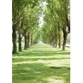 thumbnail image 2 of BSDHOME Polyester 5x7ft Photography Backdrop Nature Forest Trees Grass Field Sunshine Rustic Wedding Backdrops Seamless Baby Kids Children Lover Portraits Background Photo Studio Props, 2 of 3