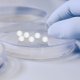 thumbnail image 2 of FELTECHELECTR 2000 piezas Mini esfera de vidrio transparente Bola de vidrio transparente Esfera Suministros de laboratorio, 2 of 4