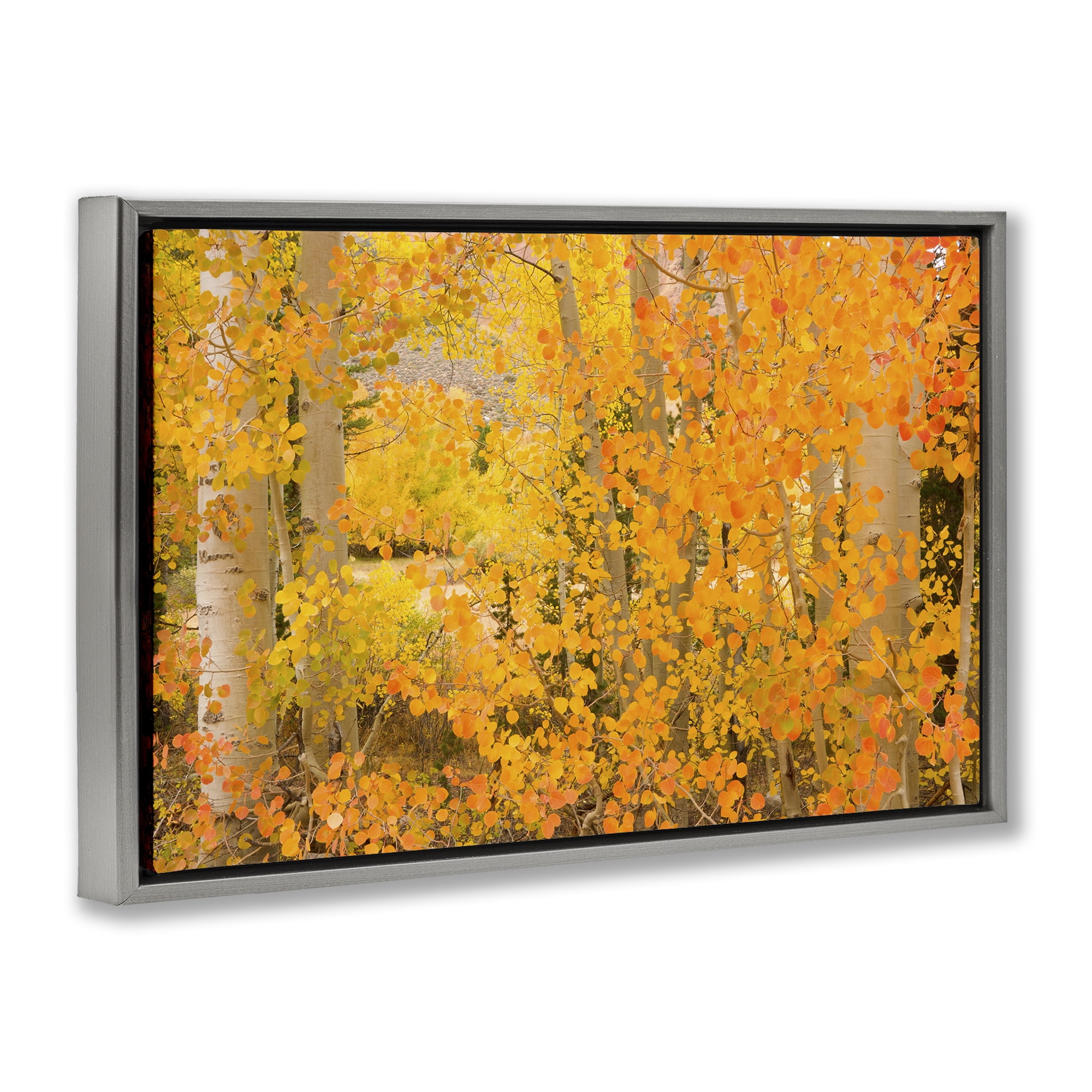 Stupell Industries Dense Birch Foliage Plants & Flowers Photography Gray Floater Framed Canvas Art Print Wall Art, 25 x 17