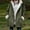 Army Green-1, variant on Black*Friday Chaoheng Womens Coats and Jackets Women's Suede-Look Toggle Button Coat Plush Lined Hooded Jacket with Pockets