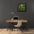thumbnail image 4 of Rousseau, Henri 22x20 Black Modern Framed Museum Art Print Titled - Fight between a Tiger and a Buffalo, 4 of 5