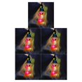 thumbnail image 1 of Billuyoard Sombrero que brilla intensamente con iluminación LED, decoración de sombrero de jardín, gorra colgante para fiesta de Halloween, tipo 2, Dämonenaugen leuchten orange 5piezas, 1 of 6