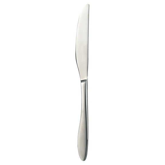 Oneida Solefield Stainless Steel Dinner Knife
