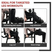 Signature Fitness Seated Leg Extension Machine, Black Iron Construction, Lower Body Strength Training Equipment for Home Gym