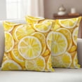 thumbnail image 4 of 2 Pack Outdoor Waterproof Throw Pillow Covers,Yellow Lemon Slice Watercolor Decorative Square Patio Pillowcases for Chair Couch Sofa 16x16in, 4 of 9