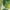 Z6 Hixon Palm, variant on Jordan Manufacturing 46.5" x 24" Kadir Iceberg Green Leaves Rectangular Outdoor Deep Seat Chair Cushion Set with Welt