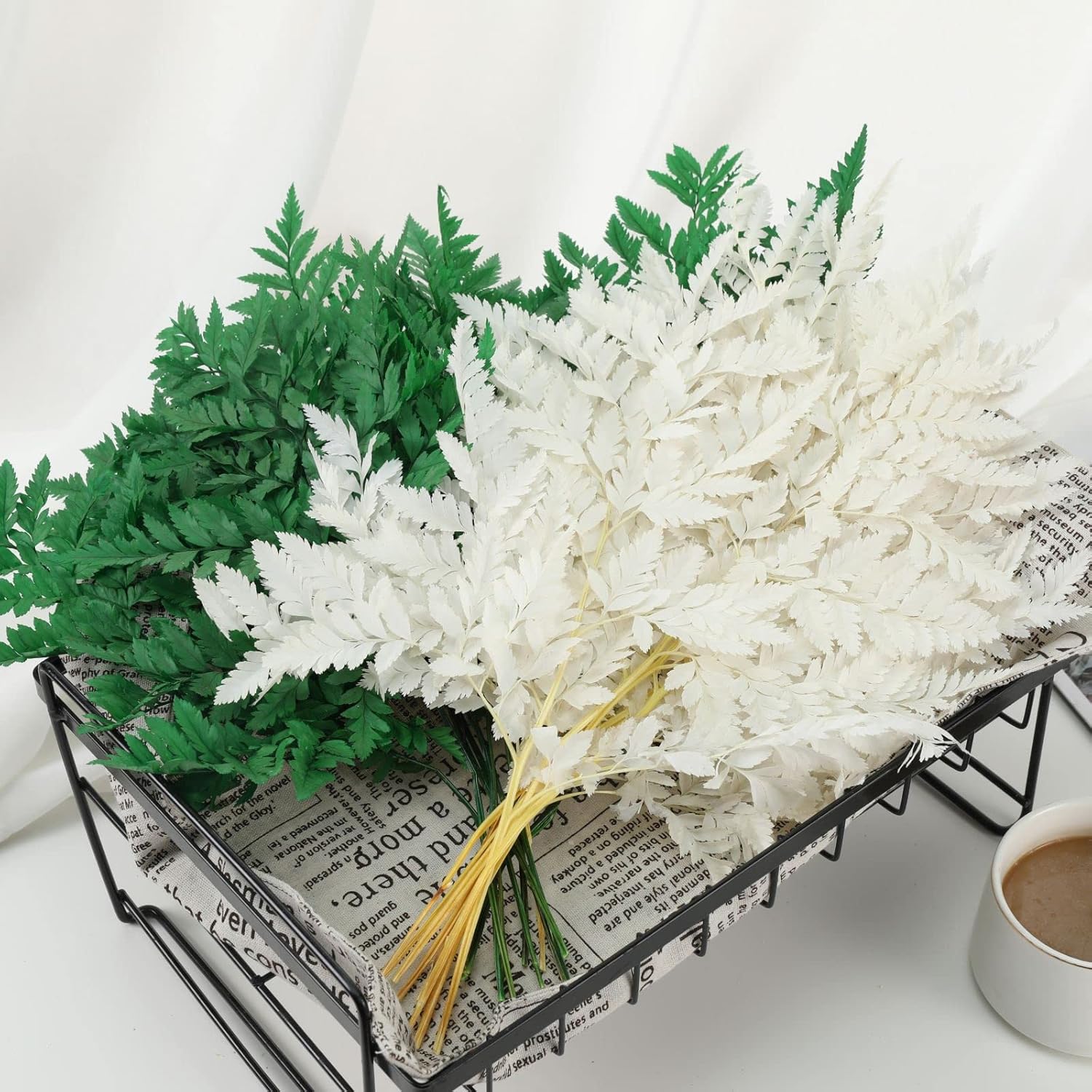 Fern Preserved White Ferns, 10 PCS Dried Boston with Stems, 15'' Real Leaves for Flowers Arrangements Wedding Garland Bouquets Home Party Centerpiece Table Decorations Vase Filler