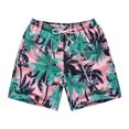 thumbnail image 1 of Bañador para hombre, pantalones cortos informales grandes estampados, pantalones de playa de secado rápido, capris Zhivalor  BST3007148-4, 1 of 7