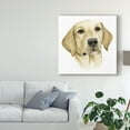 thumbnail image 3 of Trademark Fine Art 'Humans Best Friend I' Canvas Art by Grace Popp, 3 of 4