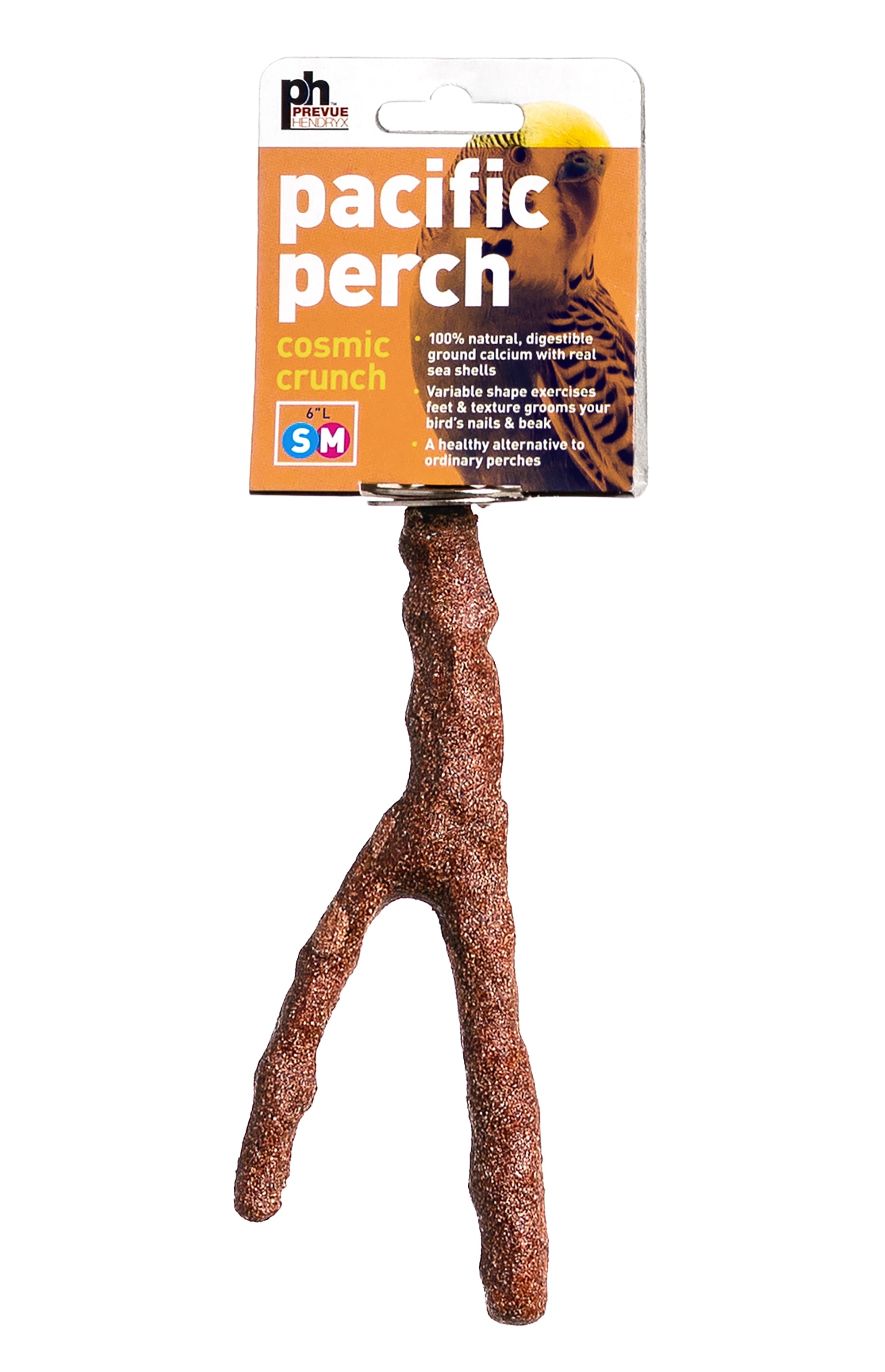 Prevue Pet Products Pacific Perch Brown Seashell and Wood Cosmic Crunch Bird Perch, 6 inch