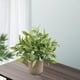 thumbnail image 4 of 2 miniplantas artificiales en maceta para interior y exterior, adorno para boda Hojas+Desmodium, 4 of 9