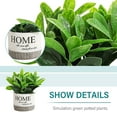 thumbnail image 3 of Topiarios, plantas y flores artificiales, mini plantas, maceta., 3 of 6
