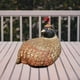 thumbnail image 5 of Estatua de pavo de Acción de Gracias de resina, adornos hechos a mano, escultura, artesanía, estatuilla Brillo Pavo, 5 of 7