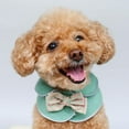 thumbnail image 3 of Cálido Gato Perro Mascota Capa Ropa Navidad Mascota Disfraz Capa Chal Verde-l Sunnimix Ropa suave cálida de invierno, 3 of 8