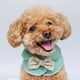 thumbnail image 3 of 1 Uds. De capa para perros y gatos, chal cálido para otoño e invierno, ropa decorativa para fiestas y festivales Verde-M jinwen Ropa suave cálida de invierno, 3 of 8