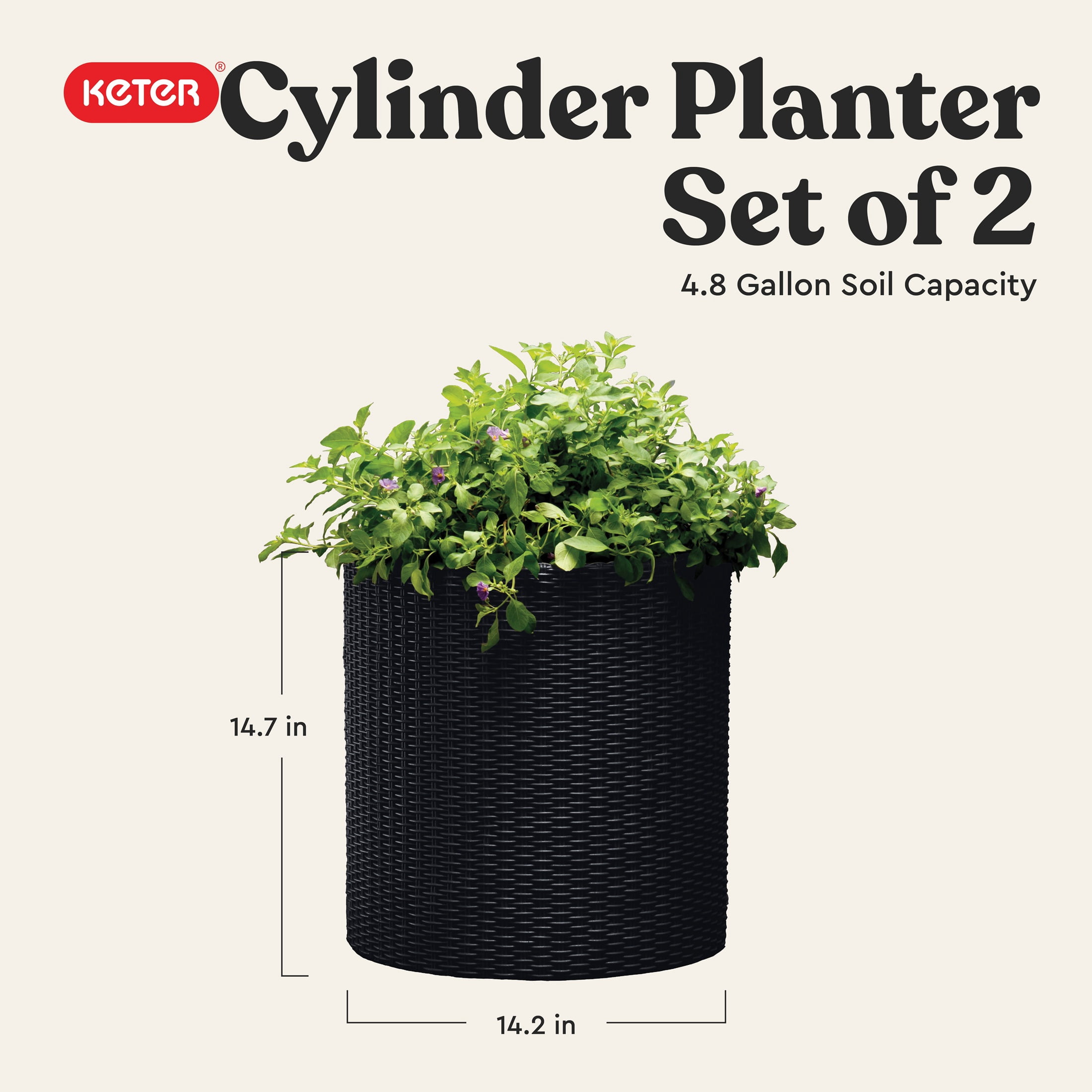 Keter Medium Cylinder Rattan Resin Planter Set of 2 for Indoor and Outdoor Plants Ideal for Patio and Porches, Graphite