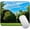 University of Notre Dame, variant on Saguaro Mouse Pad, Sun is Setting Between Saguaros Wildflowers in The Sonoran Desert Scene Picture, Standard Size Rectangle Non-Slip Rubber Mousepad, Multicolor