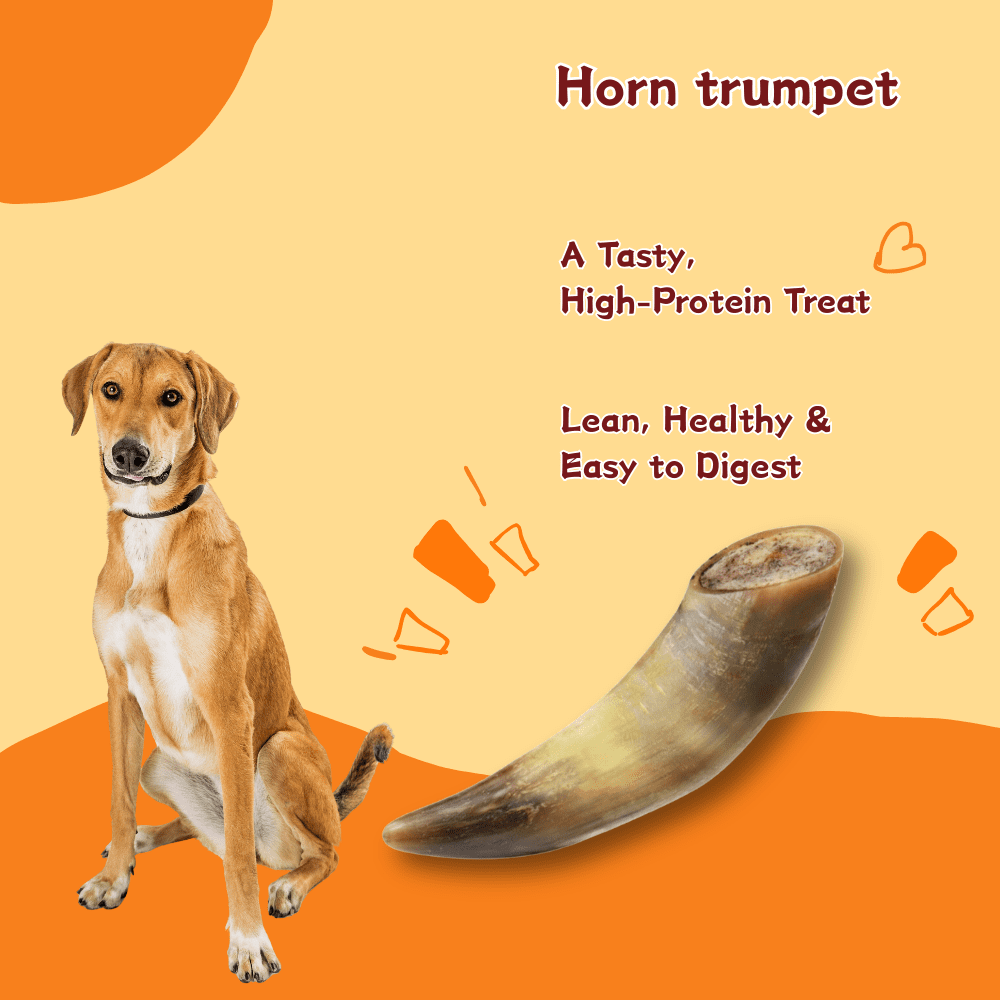 Tender Touch All-Natural Ox Horn for Dogs, A Whole and Hearty Single Ingredient Chew for Dental Care and Hours of Entertainment, 3-Count