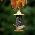 thumbnail image 2 of More Birds Little-Bit Finch Screen Bird Feeder, Wild Bird Feeder, .6 lb Seed Capacity, 2 of 5
