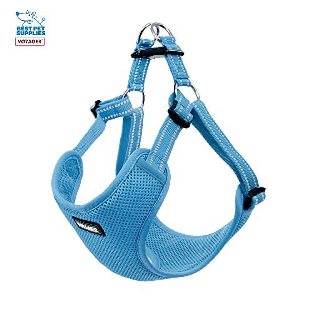Best Pet Supplies Voyager Adjustable Dog Harness Leash Set with Reflective Stripes for Walking Heavy-Duty Full Body No Pull Vest with Leash D-Ring, Breathable All-Weather - Harness (Baby Blue), L