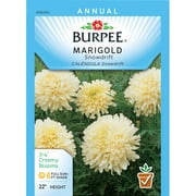 Burpee Marigold Snowdrift Seed Packet