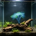 thumbnail image 6 of Green Fish Tank Decoration, Glow-in-the-Dark Silicone Sea Anemone 4x3.5 Inches, Luminous Aquarium Decor Ornament for Fish Tank, Soft Flexible Tentacle Plant for Freshwater Saltwater, 6 of 6