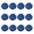 thumbnail image 1 of Uxcell 12-Pack Bolas de Ratán Tejidas 40mm/1.6 Pulgadas Bolas Decorativas de Ratán para Navidad Bodas Acción de Gracias Azul, 1 of 1