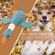 thumbnail image 5 of Juguete Masticable Interactivo Btafrte para Perros Medianos y Grandes Azul, 5 of 9