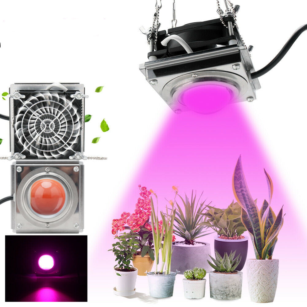 1000W Watt COB Led Grow Light Full Spectrum Lamp Plant Hydroponics Veg Flower 