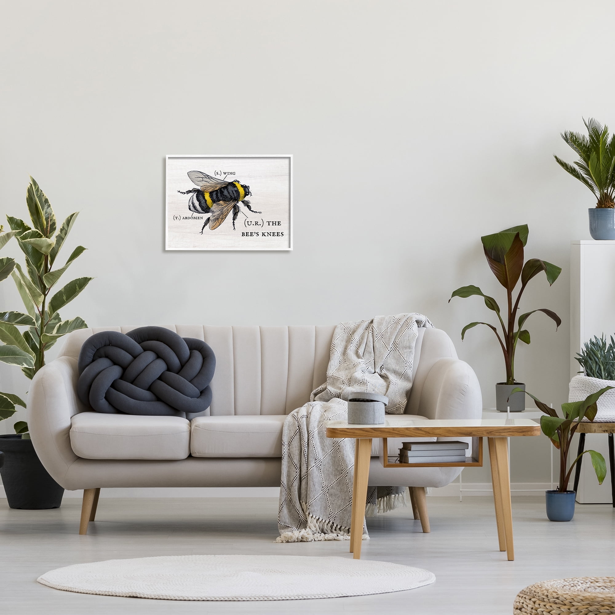 The Stupell Home Decor Collection Anatomy of Honey Bee Pun Charming Bee's  Knees by Daphne Polselli Floater Frame Animal Wall Art Print 17 in. x 21  in. ac-252_ffb_16x20 - The Home Depot