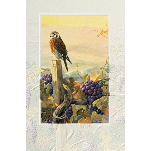 Pumpernickel Press Embossed Blank Greeting Cards Boxed Set – Vines of Los Olivos, 16 Count