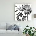 thumbnail image 3 of Trademark Fine Art 'Flowers in Grey I' Canvas Art by Melissa Wang, 3 of 4