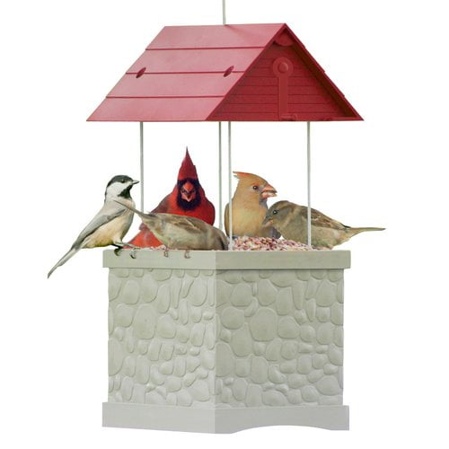 Infinity Bird Feeder - Wild Bird Feeder with 360 Degree View of Feeding Birds Infinity Bird Feeder - Wild Bird Feeder with 360 Degree View of Feeding Birds