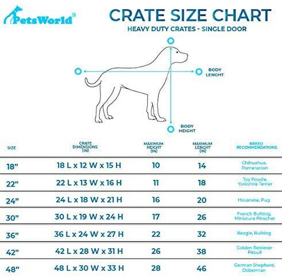 Solid-Steel Dog Crate| Heavy Duty, Foldable, Easy to Assemble, Floor Protection Roller Feet. - Double Door - 42-inch w/ Divider