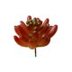 thumbnail image 2 of Gwong Decoración hogareña 1 UNID Artificial Suculenta Planta Brillante Color DIY Home Office Garden Bonsais Decoración Gwong 21042148, 2 of 7