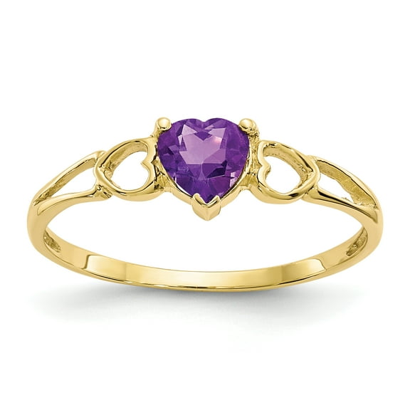 Primal Gold 10 Karat Yellow Gold Genuine Amethyst Birthstone Ring