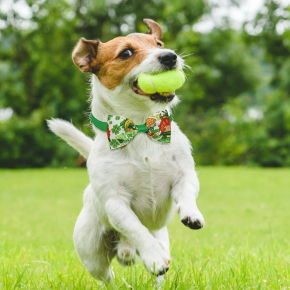 Usmixi Irish Festival Pet Decoration and Dog Party Decoration Bow Tie St. Patrick's