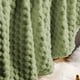 thumbnail image 4 of Manta de Terciopelo Grueso Golden Turtle | Manta de Franela Suave de 127 X 152 Cm | Manta Multiusos para Siestas y Sofá En Colores Café, Verde, Gris, Caqui y Beige, 4 of 6