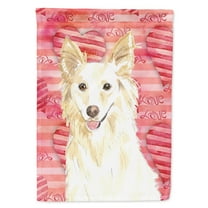 Love a White Collie House Flag