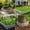 A, variant on YuanGuangQ Plastic Garden Fence for Lawn Edging, White Picket Fence Border for Flowerbeds and Plants, Decorative Yard Fencing for Vegetable Patch Path or Outdoor Landscaping